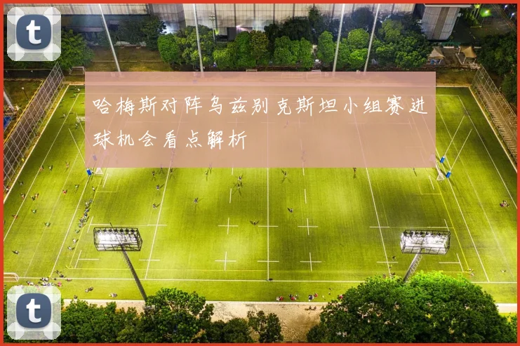 哈梅斯对阵乌兹别克斯坦小组赛进球机会看点解析