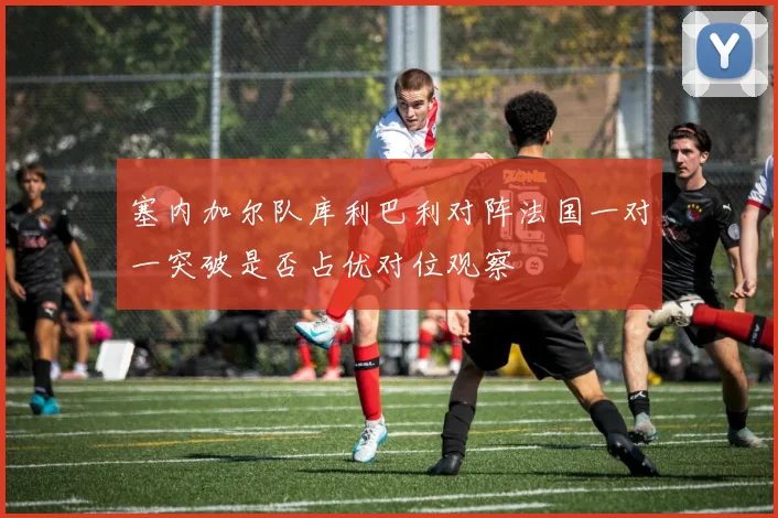塞内加尔队库利巴利对阵法国一对一突破是否占优对位观察