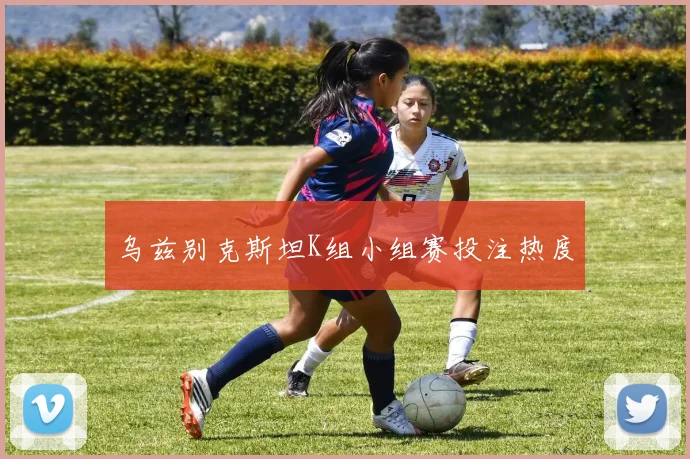 乌兹别克斯坦K组小组赛投注热度