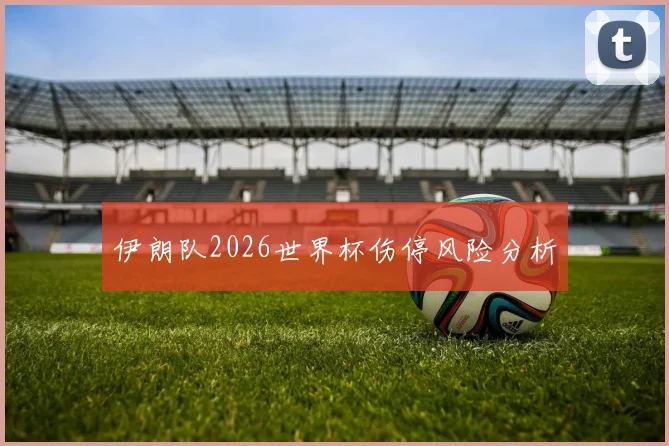 伊朗队2026世界杯伤停风险分析