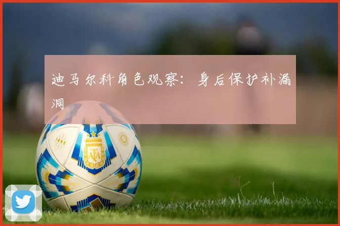 迪马尔科角色观察：身后保护补漏洞