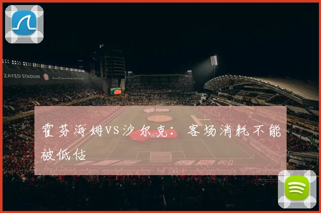 霍芬海姆vs沙尔克:客场消耗不能被低估